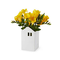 Village House |[Zx[X X[