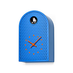 COO Cuckoo NbN