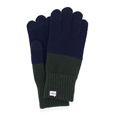 Evolg 2g[ O[u lCr[^_[NO[