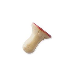 ���̂� �����T�L ���u��