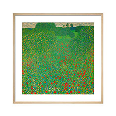 OX^tENg A Field of PoppiesTt[t|X^[