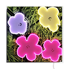 �A���f�B�E�E�H�[�z�� Flowers �l�I���T�C��