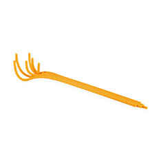 Spaghetti Pasta T[o[