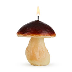 Food Candle }bV[