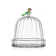 Bird KXh[ Mt