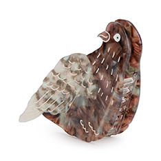 Solar Eclipse wANbv Pigeon
