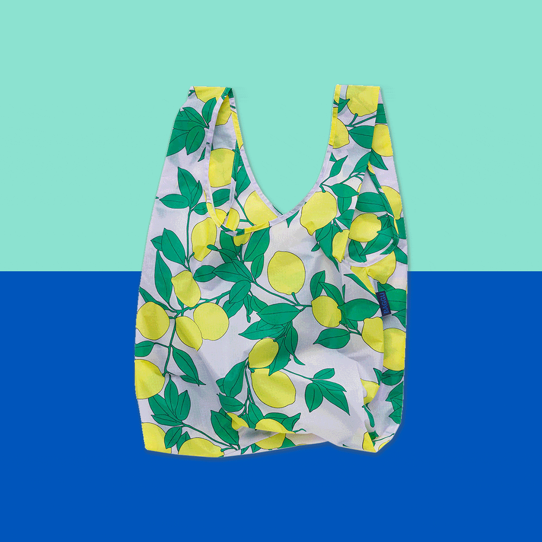 Fresh Designs for a New Beginning