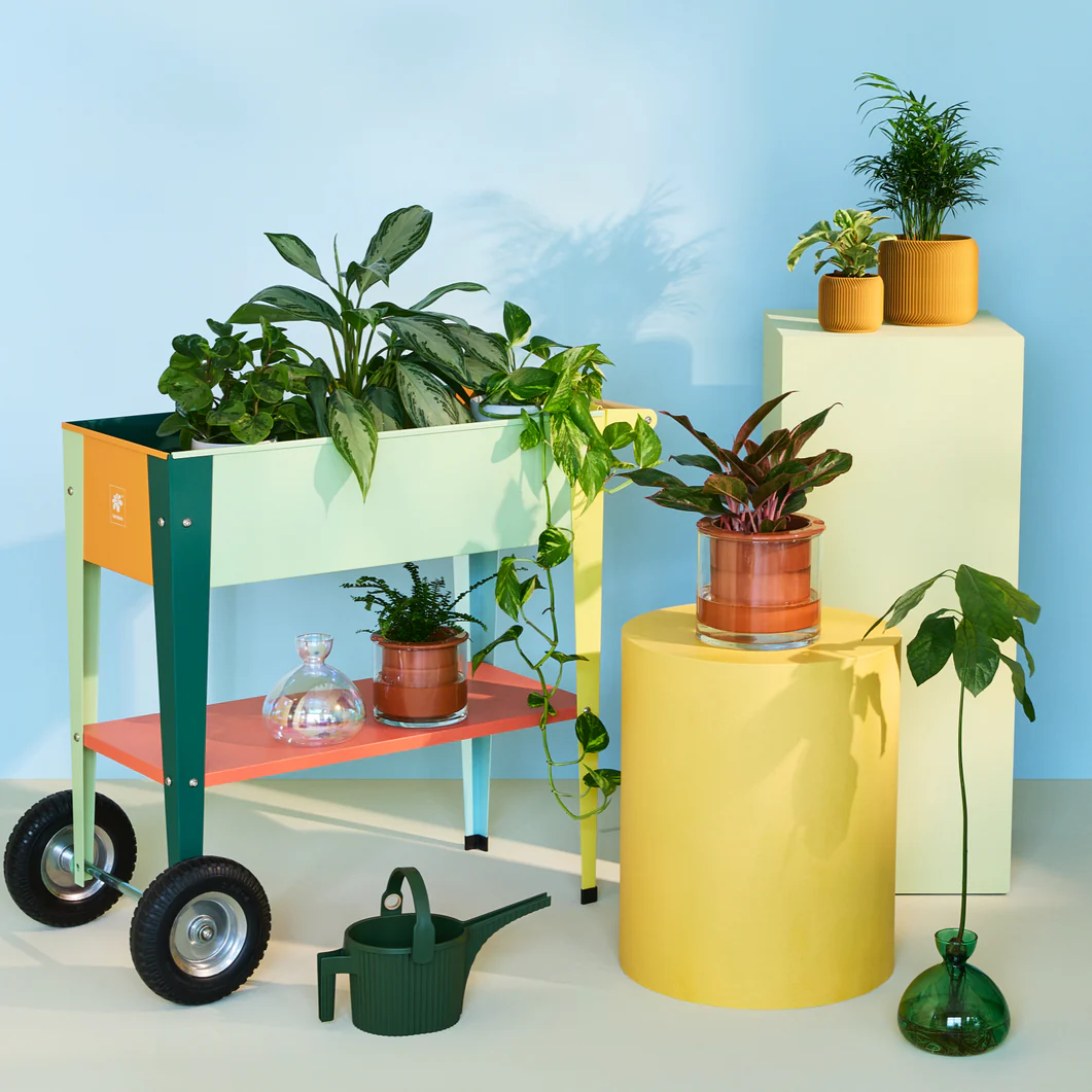 Modern Garden