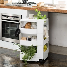 MoMA Collection
